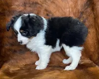 processed/fe0a8bb5-47cc-4616-8983-9e8bf823c40c/listing/f279e58c-bb88-40a5-bb00-44fc741dbb72/ecde1d30-7eb9-408d-99c9-957b33150c44