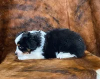 processed/fe0a8bb5-47cc-4616-8983-9e8bf823c40c/listing/f279e58c-bb88-40a5-bb00-44fc741dbb72/f322b751-4ad5-4bdb-9364-5269f202a81b