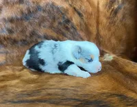 processed/fe0a8bb5-47cc-4616-8983-9e8bf823c40c/listing/f2f3728a-e839-42b3-bb1b-bf88ce725599/21e4581e-373b-4459-b84c-a02dfd596578