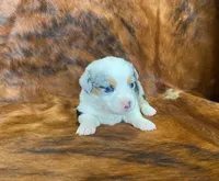 processed/fe0a8bb5-47cc-4616-8983-9e8bf823c40c/listing/f2f3728a-e839-42b3-bb1b-bf88ce725599/6d793dca-a03b-4ee4-87b8-e633ec1e5434