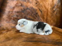 processed/fe0a8bb5-47cc-4616-8983-9e8bf823c40c/listing/f2f3728a-e839-42b3-bb1b-bf88ce725599/7d1b23f6-5881-4fa8-8c17-45a4e1ddb25d