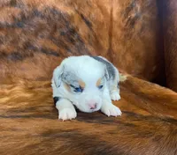 processed/fe0a8bb5-47cc-4616-8983-9e8bf823c40c/listing/f2f3728a-e839-42b3-bb1b-bf88ce725599/9bf8cac8-59ea-4116-908a-1949160d0f5b