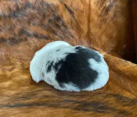 processed/fe0a8bb5-47cc-4616-8983-9e8bf823c40c/listing/f2f3728a-e839-42b3-bb1b-bf88ce725599/e587041c-3d9e-4119-9ad7-177ab68dc61f