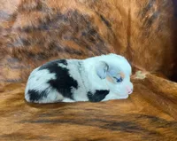 processed/fe0a8bb5-47cc-4616-8983-9e8bf823c40c/listing/f2f3728a-e839-42b3-bb1b-bf88ce725599/fdce8576-552c-4da2-83b2-11f7b9a4791e