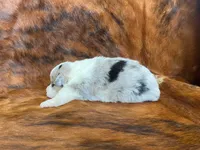 processed/fe0a8bb5-47cc-4616-8983-9e8bf823c40c/listing/fc387075-0fd2-44a1-9466-2746c9b4daaf/46ee2760-74c9-44f1-9ec4-2b289aa05335