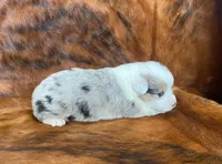 processed/fe0a8bb5-47cc-4616-8983-9e8bf823c40c/listing/fc387075-0fd2-44a1-9466-2746c9b4daaf/52d9061b-66db-4bfc-99f0-667e52ad03f8