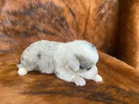 processed/fe0a8bb5-47cc-4616-8983-9e8bf823c40c/listing/fc387075-0fd2-44a1-9466-2746c9b4daaf/63764d09-ecba-43be-91a7-b8fbed3cb331