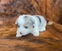 processed/fe0a8bb5-47cc-4616-8983-9e8bf823c40c/listing/fc387075-0fd2-44a1-9466-2746c9b4daaf/b8e05c8a-48e4-4e88-90c2-23f72ed60849