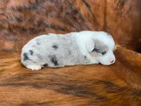 processed/fe0a8bb5-47cc-4616-8983-9e8bf823c40c/listing/fc387075-0fd2-44a1-9466-2746c9b4daaf/e8321a6a-59c9-4a5d-ba3a-86ff12ff7a30