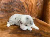 processed/fe0a8bb5-47cc-4616-8983-9e8bf823c40c/listing/fc387075-0fd2-44a1-9466-2746c9b4daaf/fdd34f40-d9d6-446a-9e62-2b4d3ff69bac