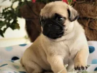 processed/fe0aaf01-bafb-4729-85e8-78ff923777a4/facility/d573feb3-d7f2-4baf-b36b-01c735f9327d