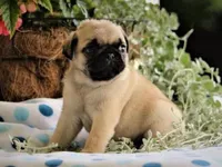 processed/fe0aaf01-bafb-4729-85e8-78ff923777a4/facility/e8a7deed-afdb-4a06-9d1b-bf39d24d4e13