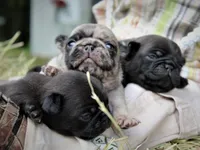 processed/fe0aaf01-bafb-4729-85e8-78ff923777a4/facility/f631469d-36dc-4042-aeb0-87fdcab8f1de