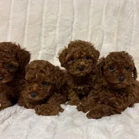 processed/fe0d5c12-7522-4e38-8621-7d546136719a/facility/4891a07b-e7fb-4abb-ba17-5dd0b90aacfa