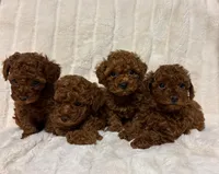 processed/fe0d5c12-7522-4e38-8621-7d546136719a/facility/4891a07b-e7fb-4abb-ba17-5dd0b90aacfa