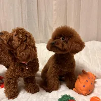 processed/fe0d5c12-7522-4e38-8621-7d546136719a/facility/5ca578ca-1b4a-457a-b31b-2ebf44ed2f1c