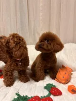 processed/fe0d5c12-7522-4e38-8621-7d546136719a/facility/5ca578ca-1b4a-457a-b31b-2ebf44ed2f1c