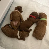 processed/fe0d5c12-7522-4e38-8621-7d546136719a/facility/c8e06bea-1132-4c9a-81b3-6d00c63a9fec