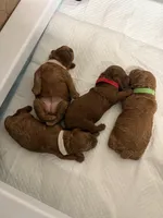 processed/fe0d5c12-7522-4e38-8621-7d546136719a/facility/c8e06bea-1132-4c9a-81b3-6d00c63a9fec