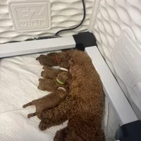 processed/fe0d5c12-7522-4e38-8621-7d546136719a/facility/e6fa42db-4b93-47fe-a2fc-b9bea96a1575