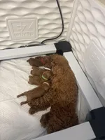 processed/fe0d5c12-7522-4e38-8621-7d546136719a/facility/e6fa42db-4b93-47fe-a2fc-b9bea96a1575