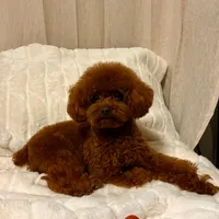 processed/fe0d5c12-7522-4e38-8621-7d546136719a/facility/e733bf57-14e1-4d7b-a1ae-6b0bc1c848ac