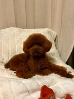 processed/fe0d5c12-7522-4e38-8621-7d546136719a/facility/e733bf57-14e1-4d7b-a1ae-6b0bc1c848ac