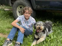 Rosie, a female Goldendoodle and Miniature Aussiedoodle for sale in Crozet, VA – 9 of 9