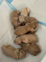 processed/fe1be770-9285-4ce2-bb6b-45adb66759b9/facility/23bba1c9-d1d5-4dd7-9d56-cf6737480f91