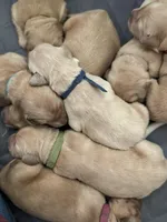 processed/fe1be770-9285-4ce2-bb6b-45adb66759b9/facility/399280bb-2495-46e3-a660-fab15e03ff72