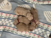 processed/fe1be770-9285-4ce2-bb6b-45adb66759b9/facility/48a254a6-5c1e-4d92-b1a6-b37358cadb6f