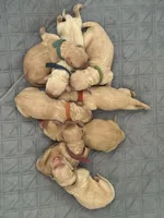 processed/fe1be770-9285-4ce2-bb6b-45adb66759b9/facility/7ec090b2-ddbb-49fb-9126-74fbe7a551d6