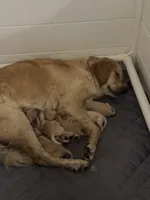 processed/fe1be770-9285-4ce2-bb6b-45adb66759b9/facility/b7ff505a-f4a7-4f3e-b59c-58882e800f6c