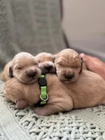 processed/fe1be770-9285-4ce2-bb6b-45adb66759b9/facility/c7bcf1d7-a62a-4b9c-9f28-d7f90baa6484