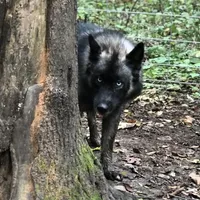 processed/fe347638-0a9a-4198-aa86-4a1d0b19ab3e/facility/0ba8913f-33b4-4b67-b419-063180b36da7