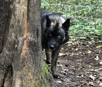 processed/fe347638-0a9a-4198-aa86-4a1d0b19ab3e/facility/0ba8913f-33b4-4b67-b419-063180b36da7