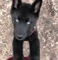 processed/fe347638-0a9a-4198-aa86-4a1d0b19ab3e/facility/314b812b-529a-48fd-b76e-82685cff6308