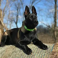 processed/fe347638-0a9a-4198-aa86-4a1d0b19ab3e/facility/5c22be2a-67b8-4999-9ab6-511735ad7f4b