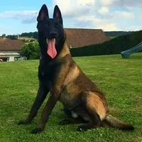 processed/fe347638-0a9a-4198-aa86-4a1d0b19ab3e/facility/8449ddb7-98f1-488d-9ce1-efe956ce3aa6