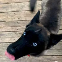 processed/fe347638-0a9a-4198-aa86-4a1d0b19ab3e/facility/ba73d285-12ce-4aa8-8ed6-d19cbd33158f