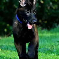 processed/fe347638-0a9a-4198-aa86-4a1d0b19ab3e/facility/d27a3017-cfdd-45a2-9976-375902b5107e