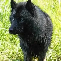 processed/fe347638-0a9a-4198-aa86-4a1d0b19ab3e/facility/dac1b9d5-4992-4201-a3f2-1833bea4b076