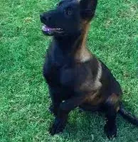 processed/fe347638-0a9a-4198-aa86-4a1d0b19ab3e/facility/f519dd91-23de-4feb-b206-c28652e71ed2