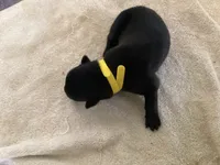 processed/fe347638-0a9a-4198-aa86-4a1d0b19ab3e/listing/14118814-264f-4f36-a8f8-e8e92c3fcf20/6dfde2fb-c561-4b52-88a6-ed5be2675b41