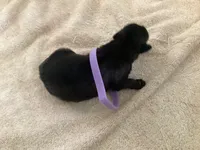 processed/fe347638-0a9a-4198-aa86-4a1d0b19ab3e/listing/654dbe49-5862-47db-b6f9-5fe58a6eba4e/28b10d2e-9f0c-4c7a-bc93-ee710ec09cc4