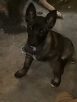 processed/fe347638-0a9a-4198-aa86-4a1d0b19ab3e/listing/654dbe49-5862-47db-b6f9-5fe58a6eba4e/44e52950-0ae0-4ac4-82c0-5b52e6dd23a9