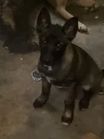 processed/fe347638-0a9a-4198-aa86-4a1d0b19ab3e/listing/654dbe49-5862-47db-b6f9-5fe58a6eba4e/527e1d61-b68d-4060-9fc8-2c692e423300