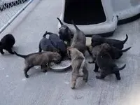 processed/fe347638-0a9a-4198-aa86-4a1d0b19ab3e/listing/654dbe49-5862-47db-b6f9-5fe58a6eba4e/be5937f5-6315-4304-b7b5-4700814cb6c7