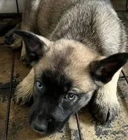 processed/fe347638-0a9a-4198-aa86-4a1d0b19ab3e/listing/74905627-ab6e-4261-acaf-150bcd84fbff/18a82523-75eb-441a-98f7-876f46538a05