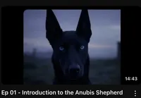 processed/fe347638-0a9a-4198-aa86-4a1d0b19ab3e/listing/74905627-ab6e-4261-acaf-150bcd84fbff/79f671bd-f99f-4142-88ab-3c6d8446dc4c